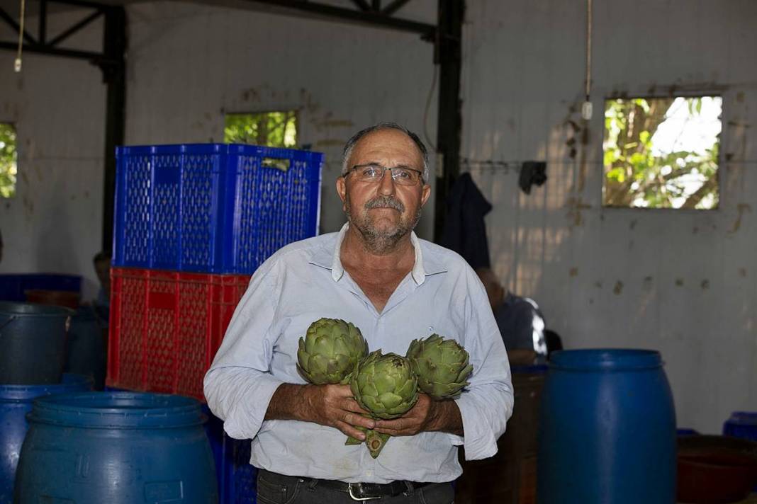 Hızlı soyan 20 erkek topladı: Kişi başı günde 2500 TL kazanıyorlar! 'Çok güçlü bir ekibimiz var, hızlıca soyuyoruz' 14